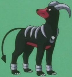Houndoom012