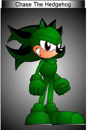 Chase The Hedgehog