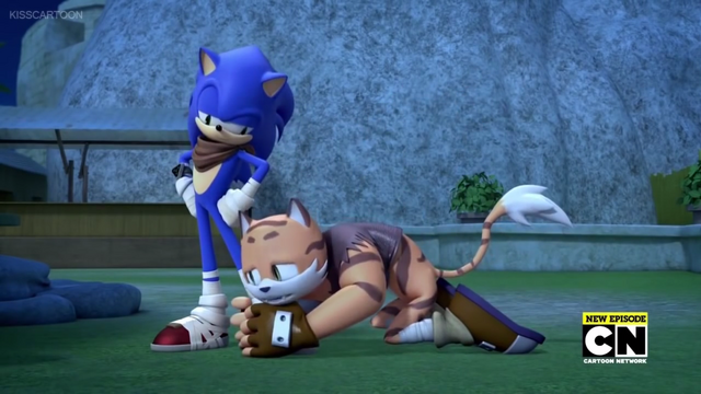 Fichier:Sonictommythunder02.png