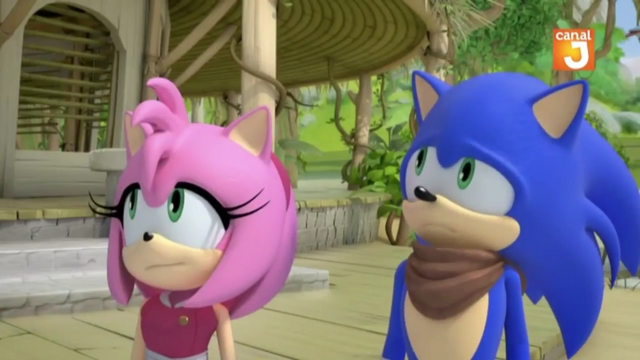 Fichier:Les sacs à puces Sonic and Amy.png