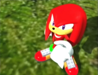 Knuckles bemused.png