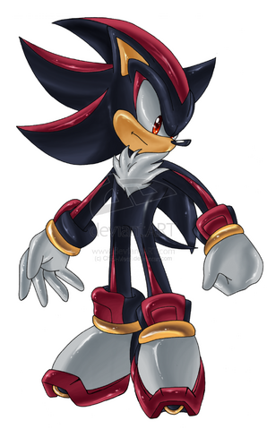File:Shadow turned around.png