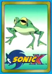 Froggy SX