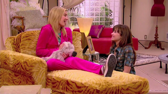 File:01 tawnipeptalk.jpg