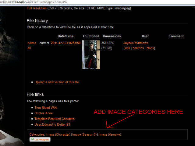 File:HowToCategorize.png