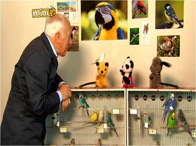 File:Who'saCleverBird?5.png