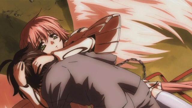 Fichier:Tomoki-Ikaros.jpg