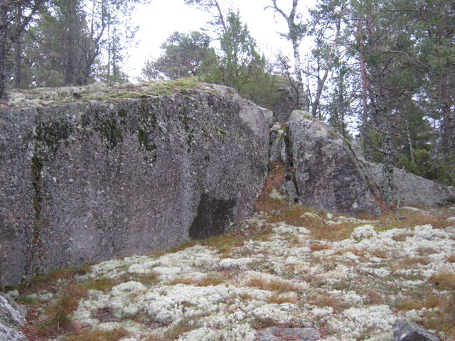 Tiedosto:Img 2809.jpg