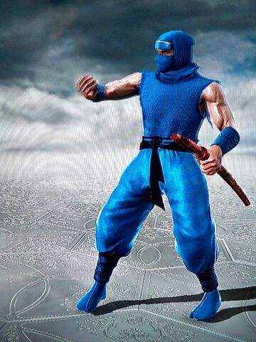 File:Ninja Gaiden NES SCV.jpeg