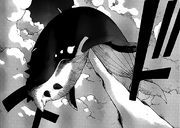 Sky Whale Death