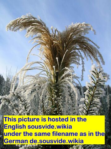 File:Sample picture.jpg