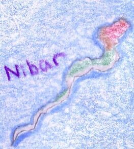 Nibar