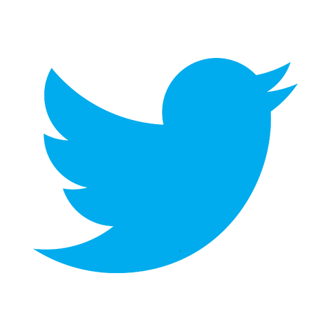 File:Twitter bird logo.png