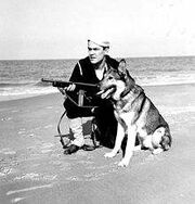 220px-USCG Beach Patrol