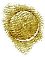 Leonardo-Earthshine