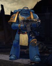 Armor Veteran