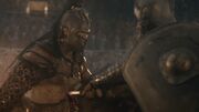 SpartacusGx06 1250.jpg