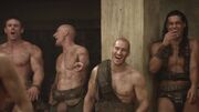 Spartacus1x02 0633