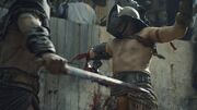 SpartacusGx04 0083.jpg