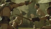 SpartacusGx01 0767.jpg