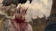Spartacus1x05 1822.jpg