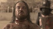 Spartacus1x01 1105
