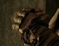 Thumbnail for version as of 08:20, February 21, 2012