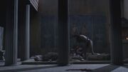 Spartacus1x05 1209