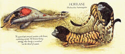 Horrane