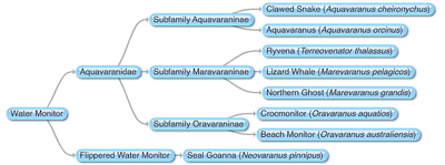 Aquavaranids