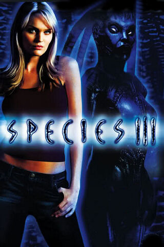 File:Displaymedia.jpg