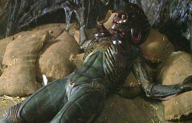 File:Eve 4.jpg