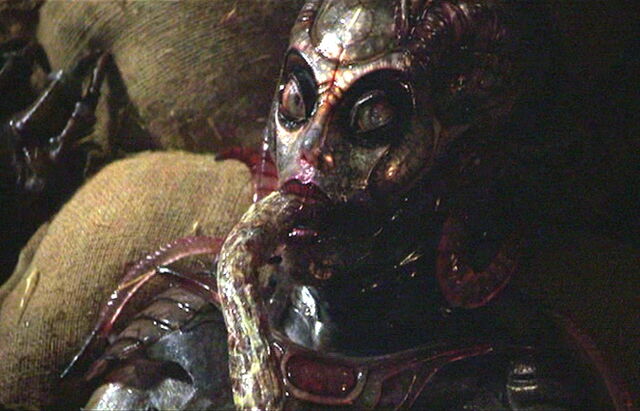 File:Eve 5.jpg