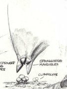 Cliff polyp