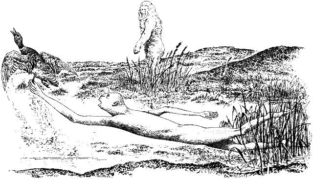 File:Snatch duck tundra.gif