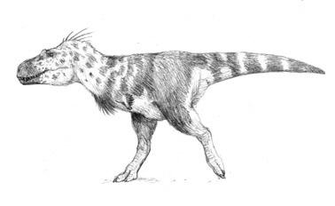File:Bruiser.jpg