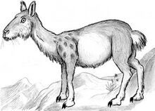 Lepotrag