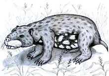 Meghizom