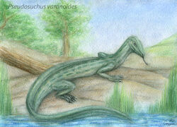 Pssuchus