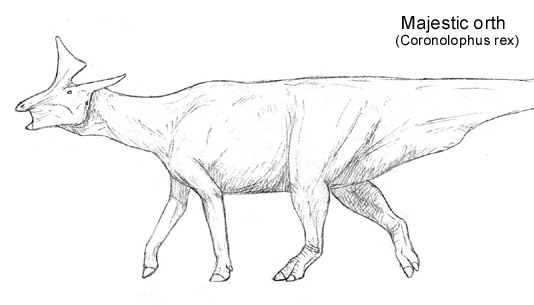 File:Orth.jpg