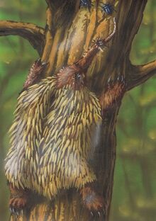 Dendrogl