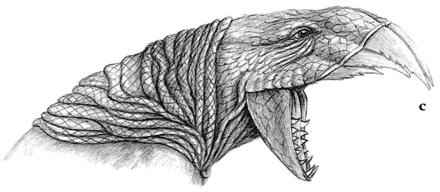 File:P00744.gif