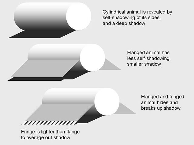 File:Counteracting shadow.jpg