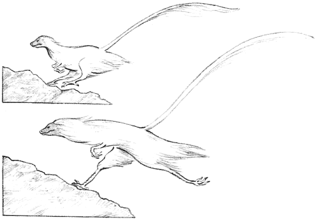 File:Mountain leapers leaping.gif