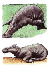 Mudgulper 3