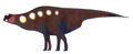 Thumbnail for version as of 03:16, August 21, 2010