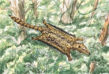 Pterogen