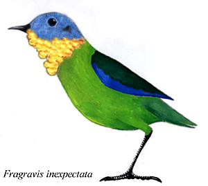 Fragravis inexpectata