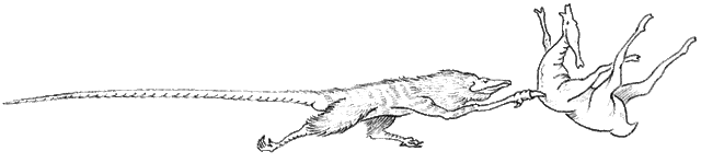 File:Northclaw attack.gif