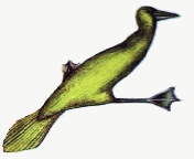 Skern